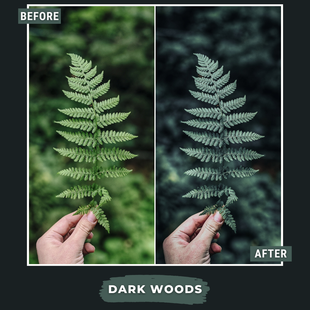 Woodland Bundle 150 Best Selling Lightroom Presets