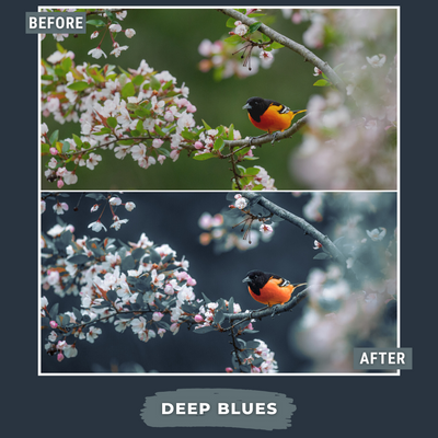 Woodland Bundle 150 Bestseller Lightroom-Presets