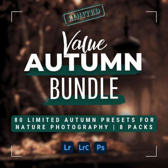 Autumn Value Bundle 80 Lightroom Presets