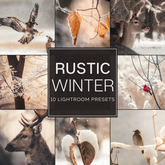 Rustic Winter LIMITIERTES Lightroom-Presets-Paket