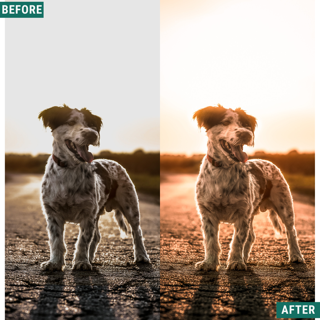 Dusk & Dawn Lightroom Presets Pack