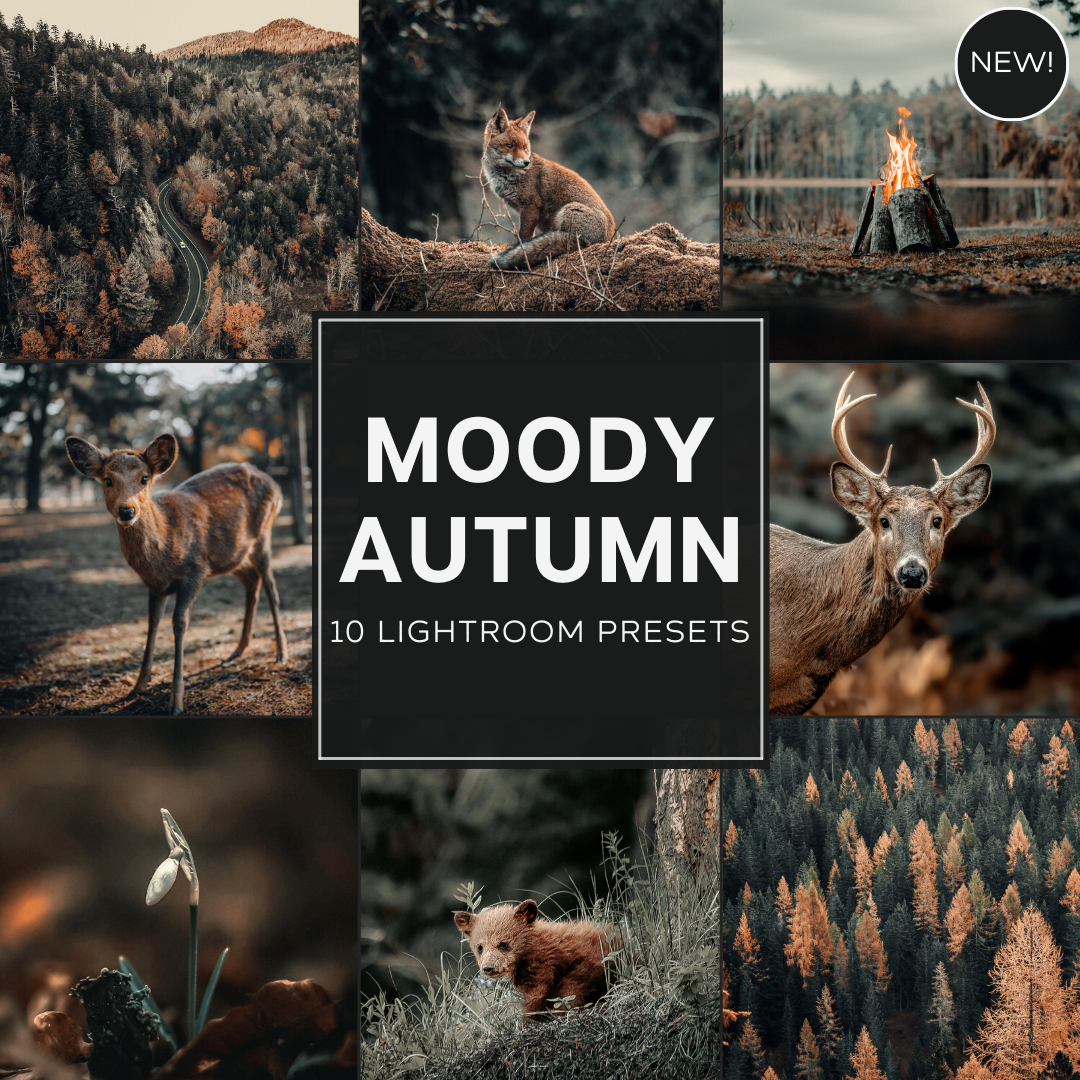 Moody Autumn LIMITED Lightroom Presets Pack