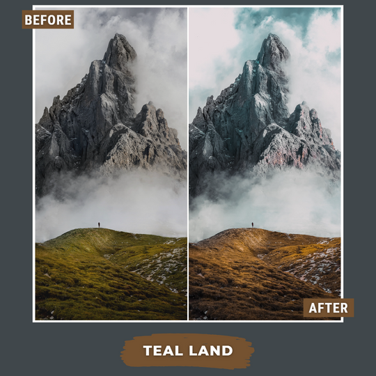 Master Collection Bundle 490 Lightroom Presets Summer