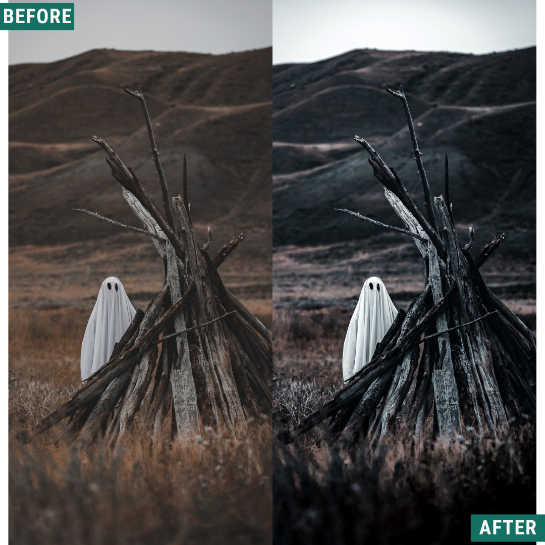 Spooky Tones Lightroom Presets Pack