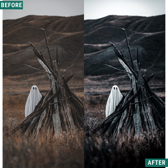 Spooky Tones LIMITED Lightroom Presets Pack