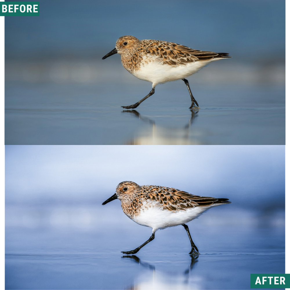 Light Blue LIMITED Lightroom Presets Pack