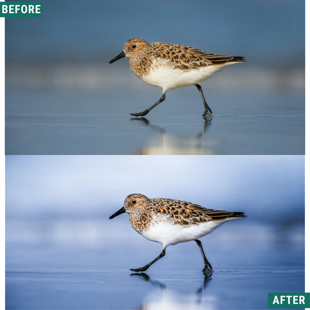 Light Blue LIMITED Lightroom Presets Pack