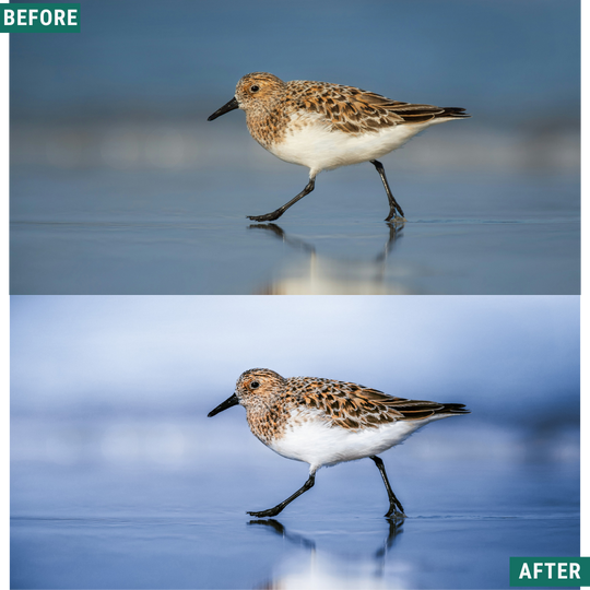 Light Blue LIMITED Lightroom Presets Pack