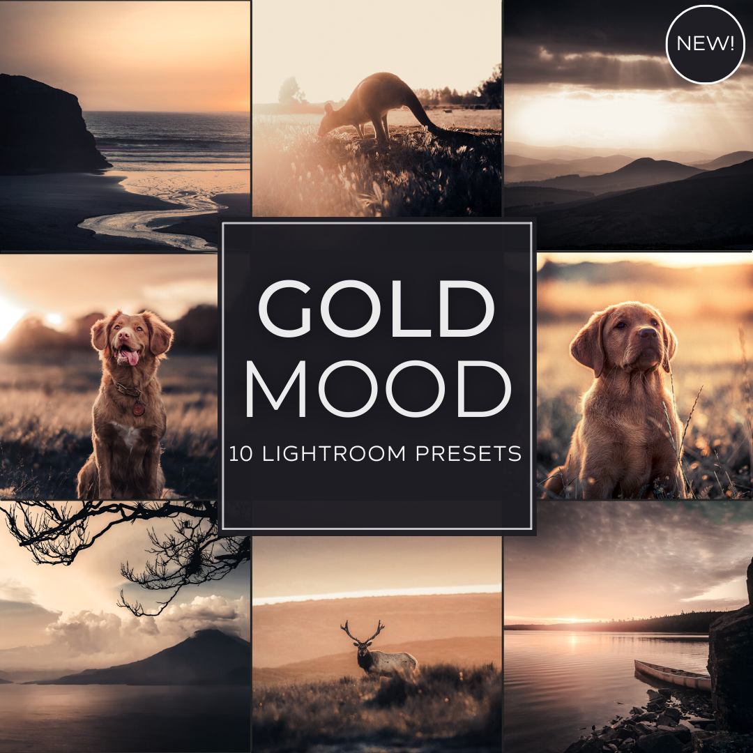 Gold Mood LIMITIERTES Lightroom-Preset-Paket