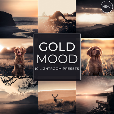 Gold Mood LIMITED Lightroom Presets Pack