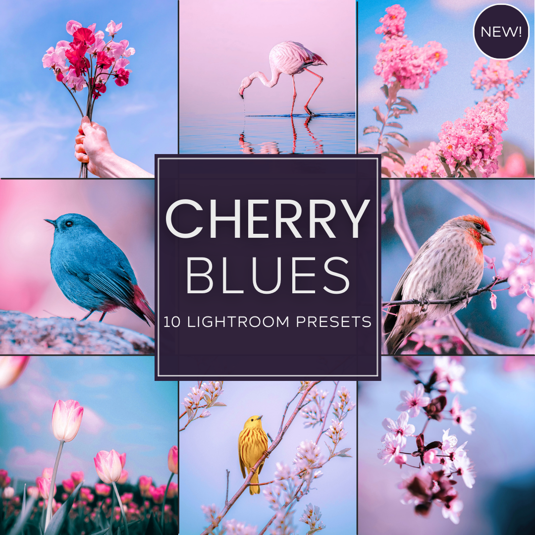 Cherry Blues Limited Lightroom Presets Pack: Dreamy Cherry Blossom Nature Photography Edits with Cotton Candy Pink and Vibrant Pastel Tones for Desktop and Mobile.