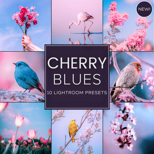 Cherry Blues LIMITED Lightroom Presets Pack