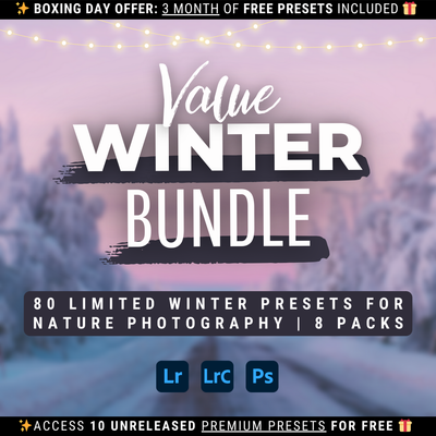 Winter Value Bundle 80 Lightroom-Presets