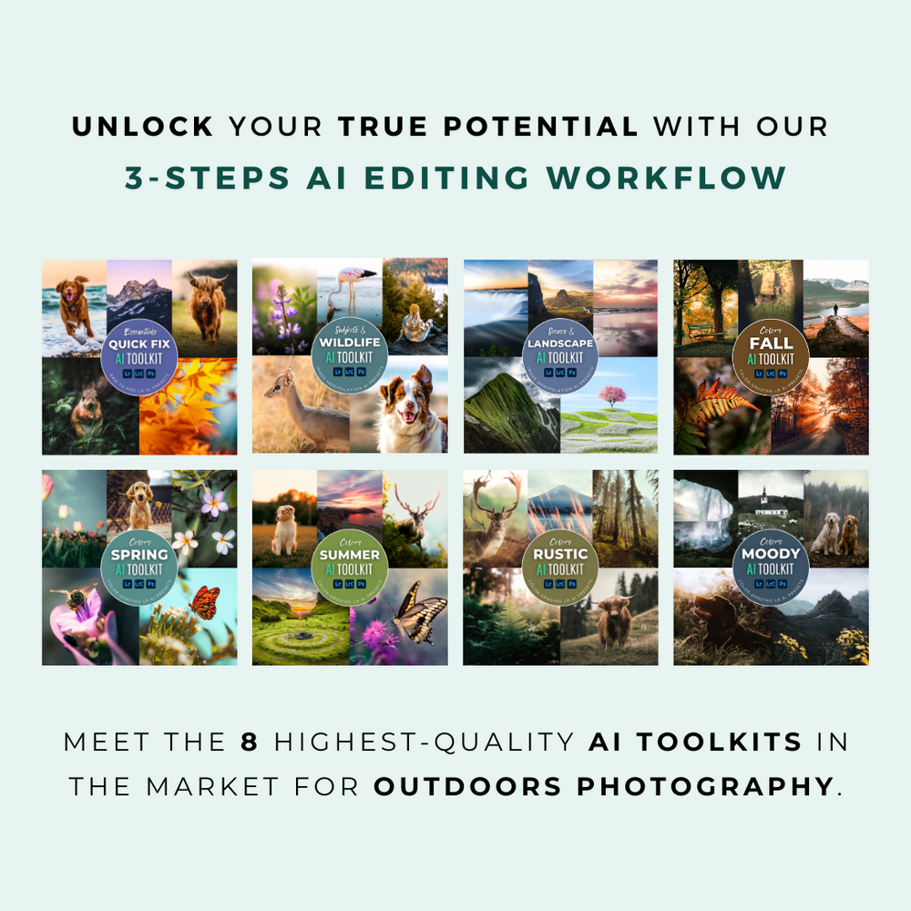 The Complete AI Workflow Lightroom Presets Bundle