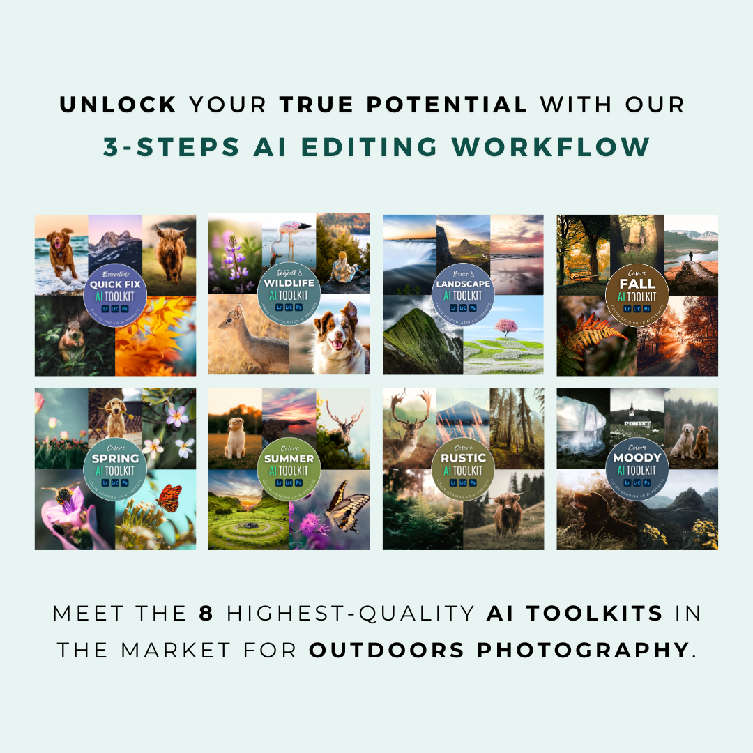 The Complete AI Workflow Lightroom Presets Bundle