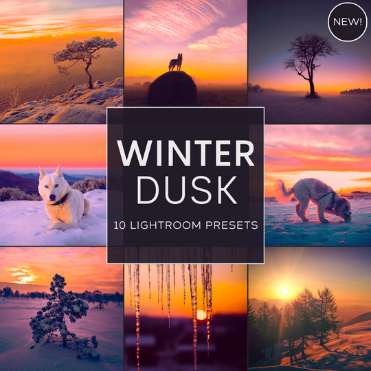 Winter Dusk LIMITIERTES Lightroom-Presets-Paket