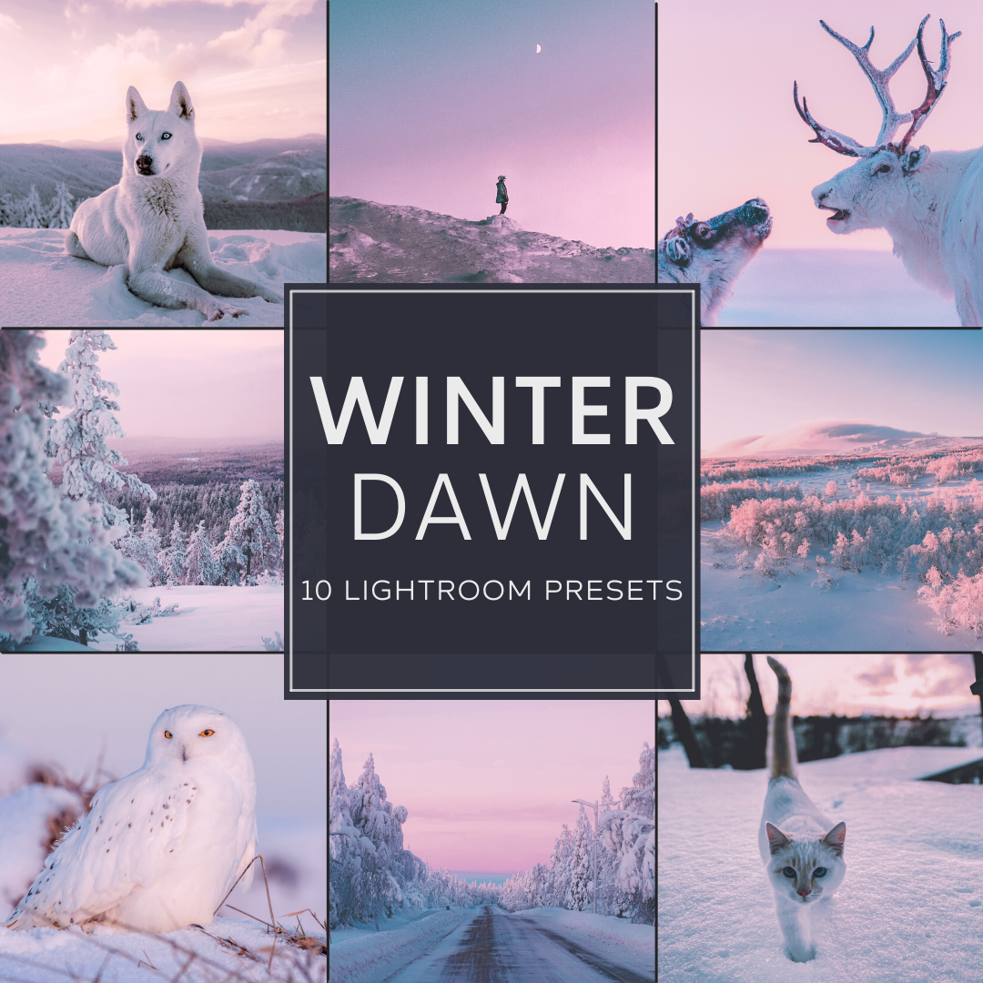 Winter Dawn LIMITIERTES Lightroom-Presets-Paket