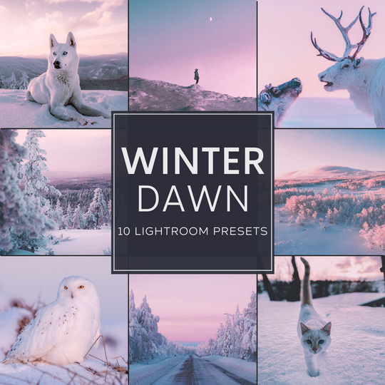 Winter Dawn Lightroom Presets Pack