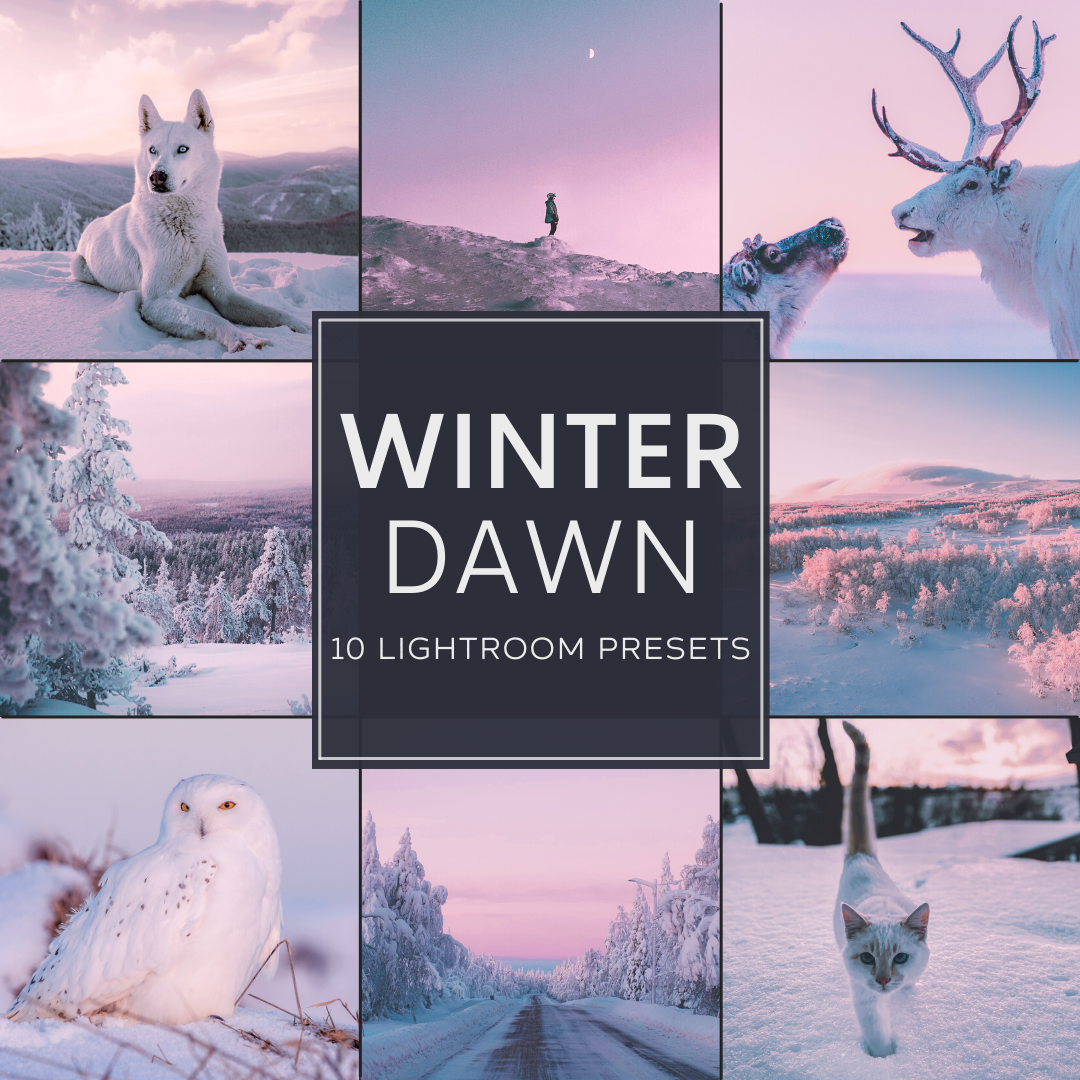 Winter Dawn LIMITED Lightroom Presets Pack