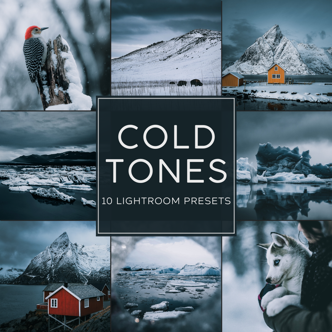 Cold Tones LIMITED Lightroom Presets Pack