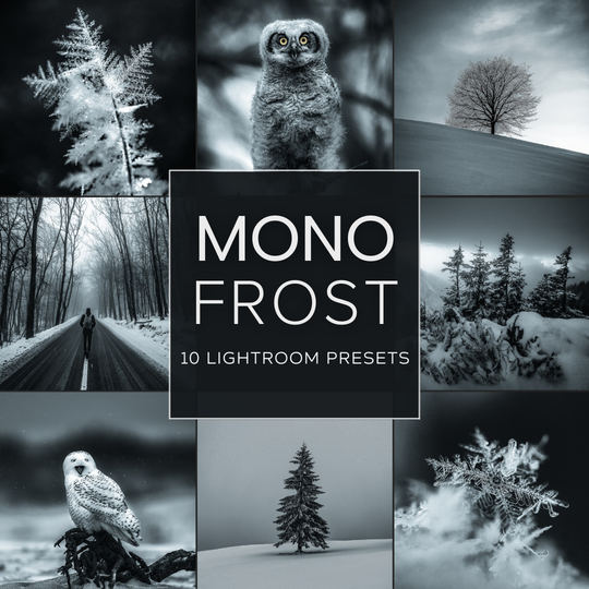 Mono Frost LIMITED Lightroom Presets Pack