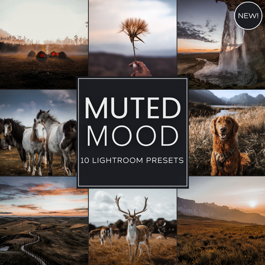 Muted Mood Lightroom Presets Pack