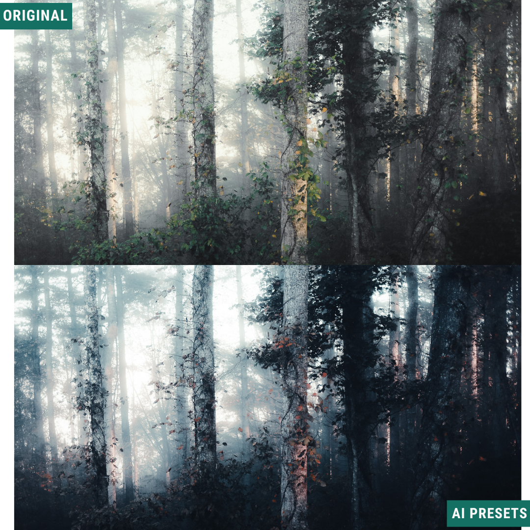 Blue Fall LIMITED Lightroom Presets Pack
