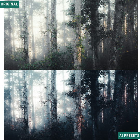 Blue Fall LIMITED Lightroom Presets Pack