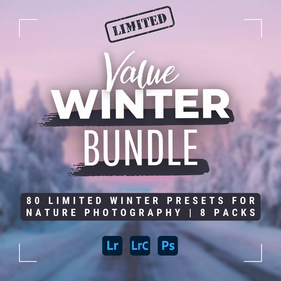 Winter Value Bundle 80 Lightroom-Presets