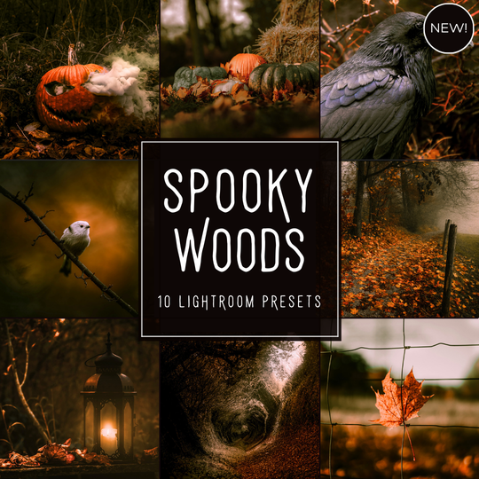 Spooky Woods LIMITED Lightroom Presets Pack