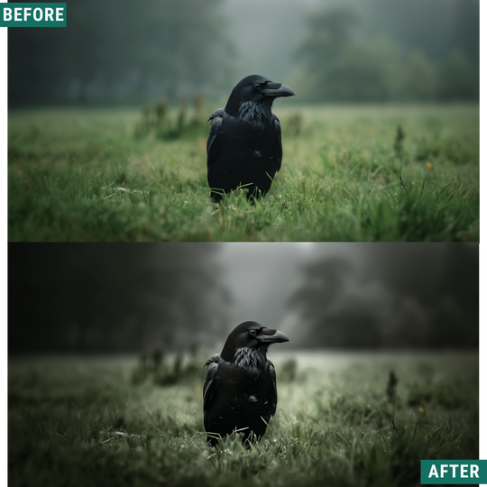 Dramatic Atmosphere Lightroom-Presets-Paket