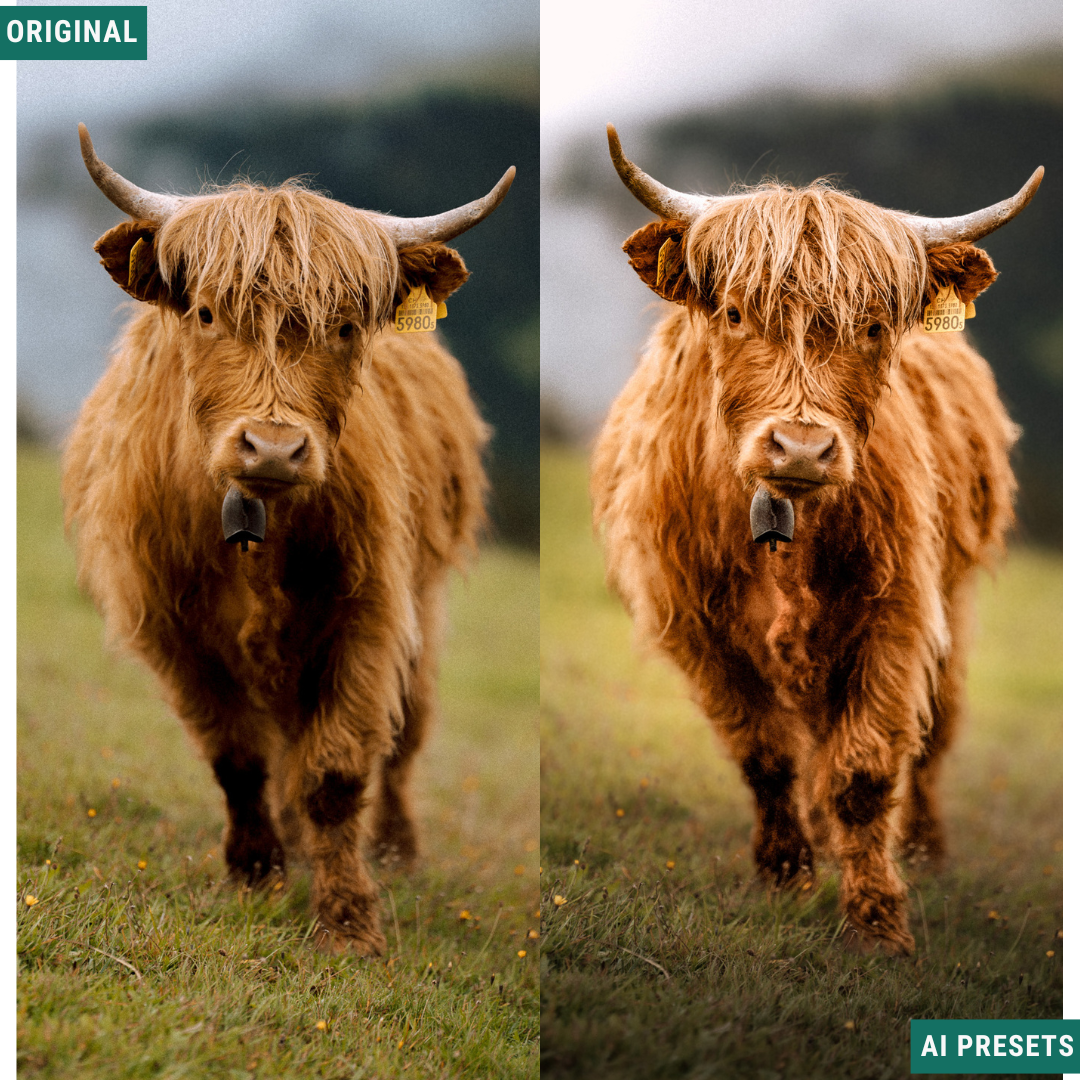Subjects & Wildlife AI Photo Lightroom Toolkit
