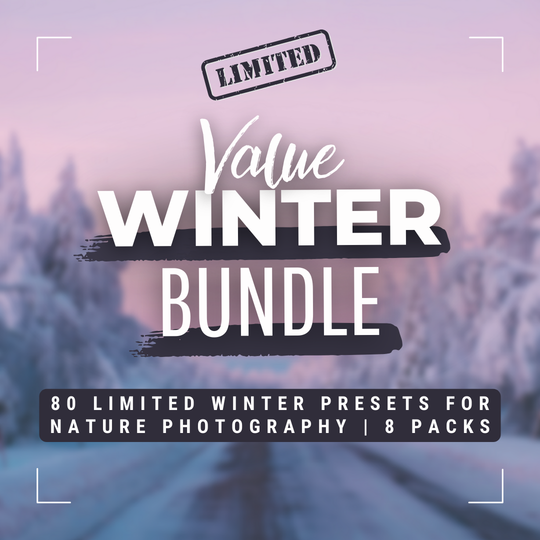 Winter Value Bundle 80 Capture One & LUT Presets