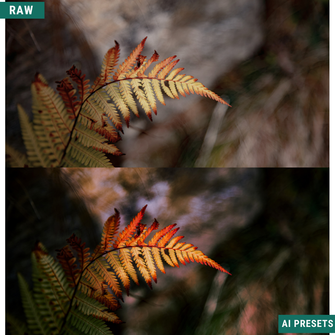 Fall AI Color Lightroom Toolkit