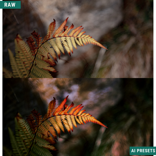 Fall AI Color Lightroom Toolkit