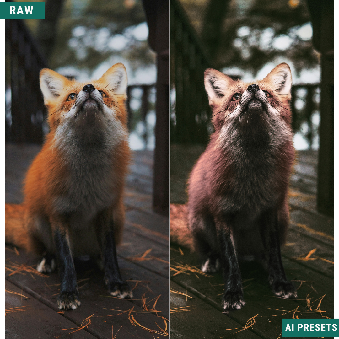 Fall AI Color Lightroom Toolkit