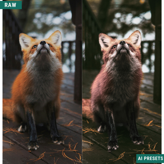 Fall AI Color Lightroom Toolkit