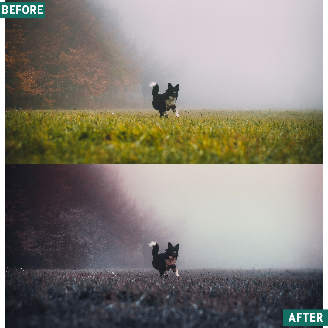 Blue Fall LIMITED Lightroom Presets Pack