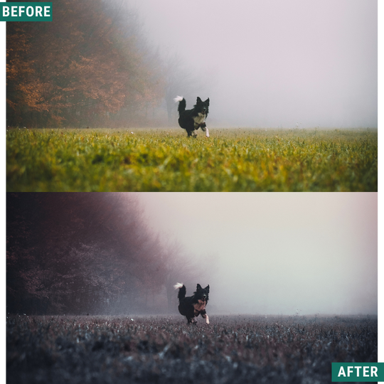 Blue Fall LIMITED Lightroom Presets Pack
