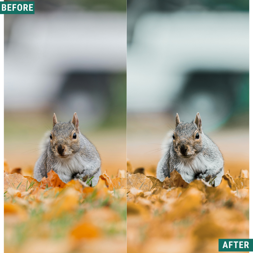 Rustic Teal LIMITED Lightroom Presets Pack