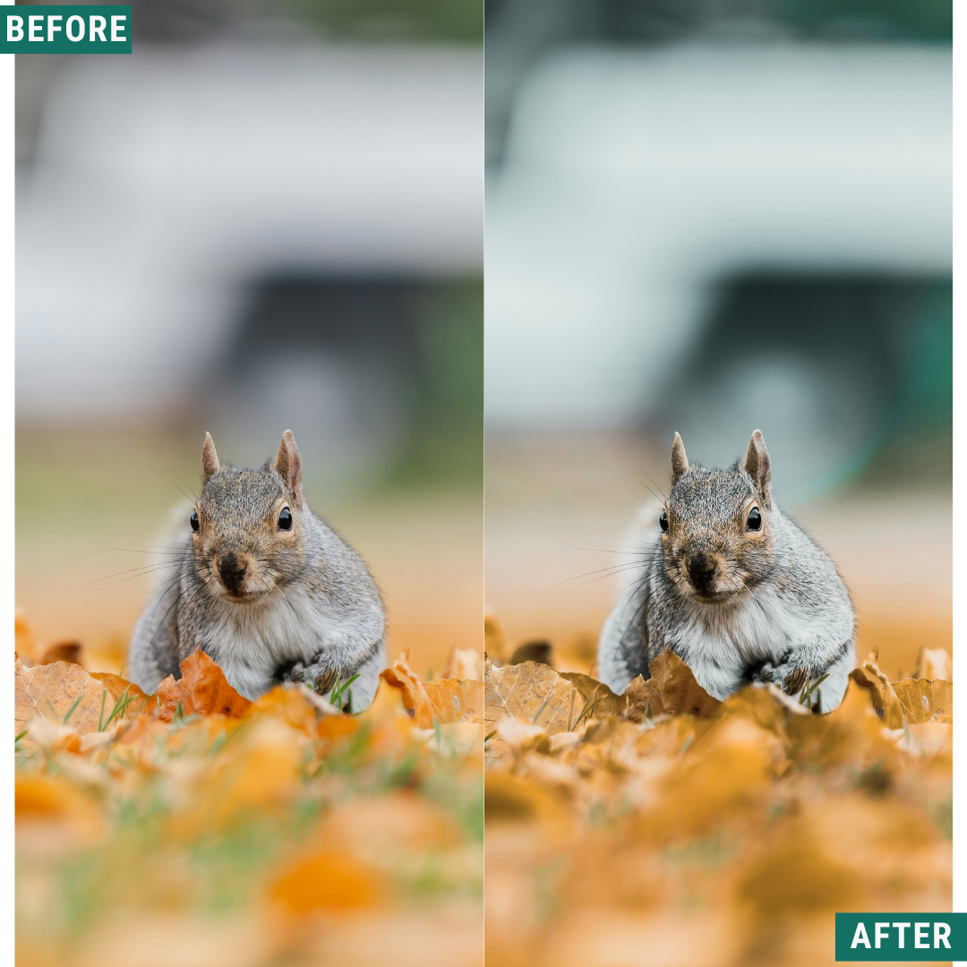 Rustic Teal LIMITED Lightroom Presets Pack