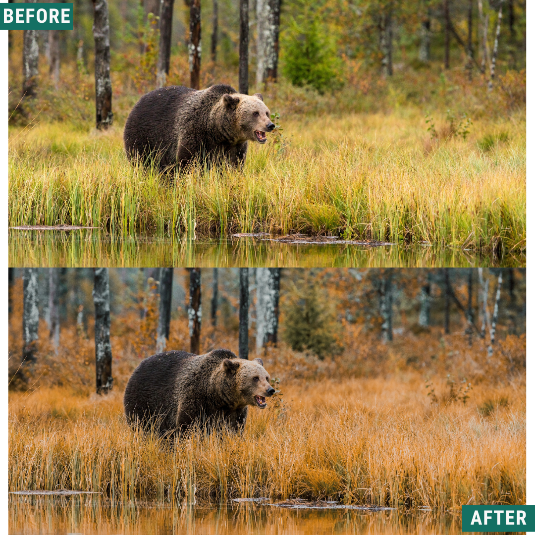 Rustic Teal LIMITED Lightroom Presets Pack