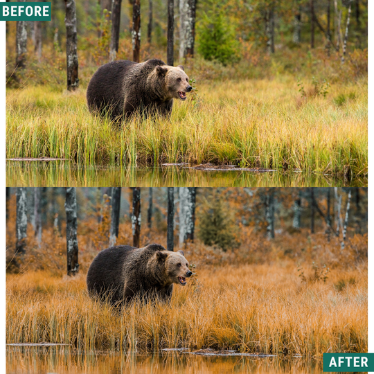 Rustic Teal LIMITED Lightroom Presets Pack