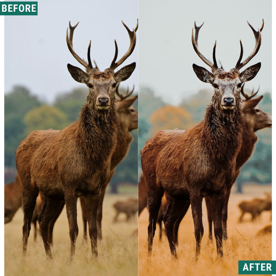 Rustic Teal LIMITED Lightroom Presets Pack
