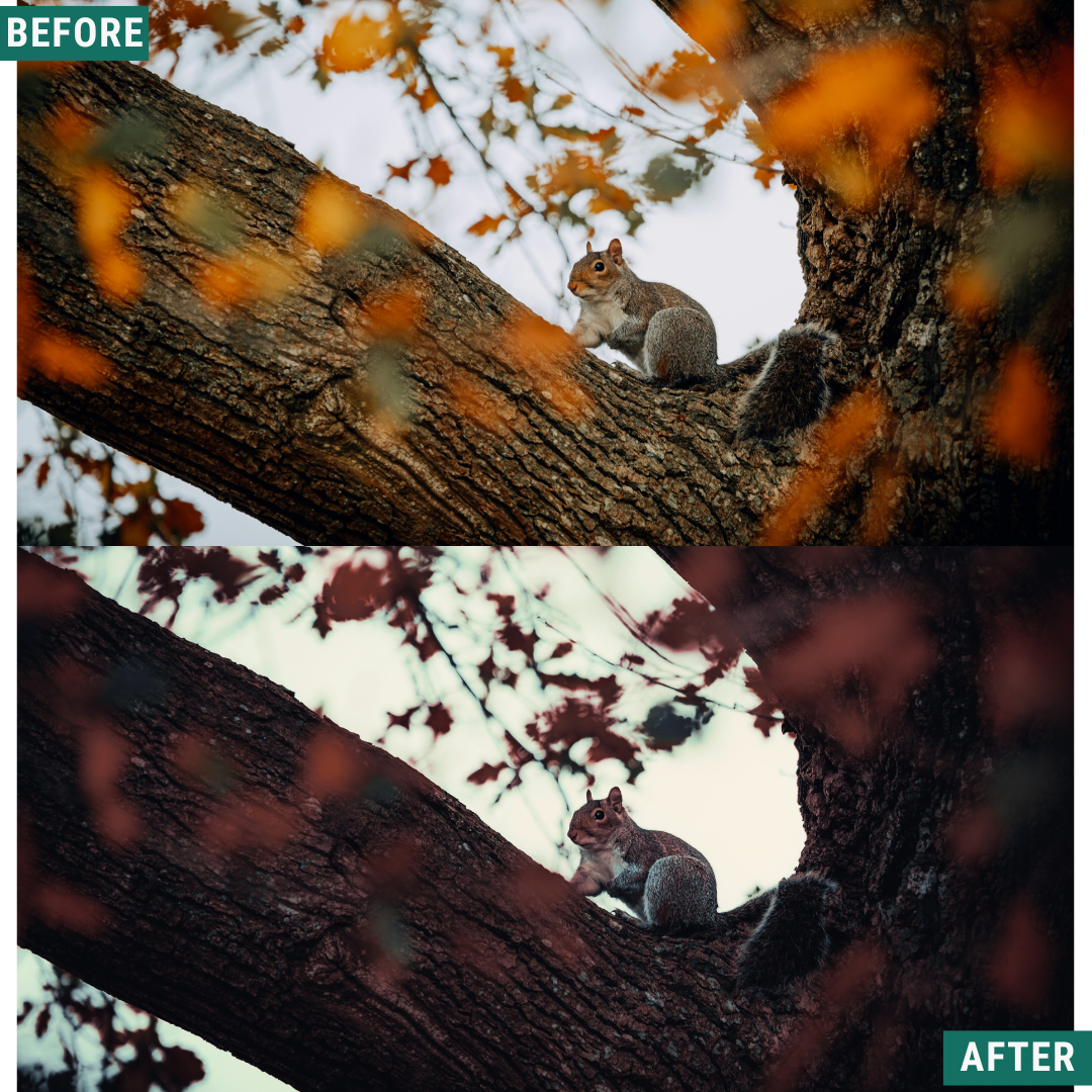 Blue Fall LIMITED Lightroom Presets Pack