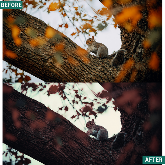 Blue Fall LIMITED Lightroom Presets Pack