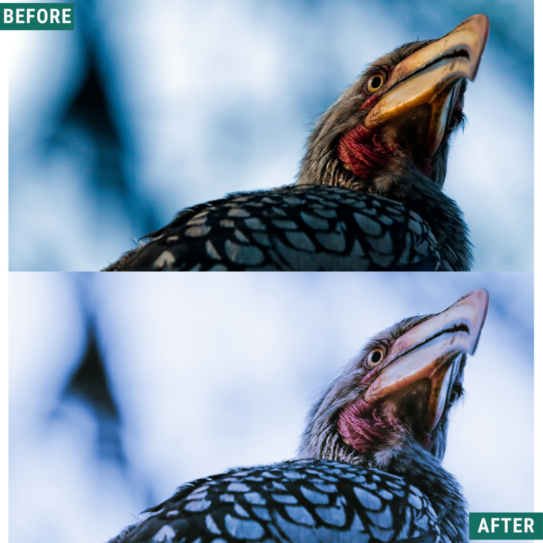 Light Blue LIMITED Lightroom Presets Pack