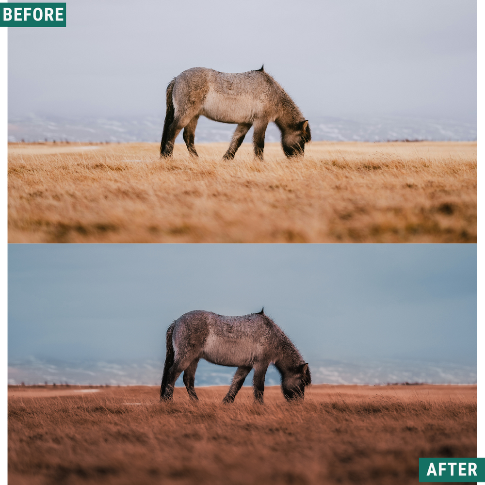 Fall Hour LIMITED Lightroom Presets Pack