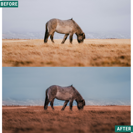Fall Hour LIMITED Lightroom Presets Pack