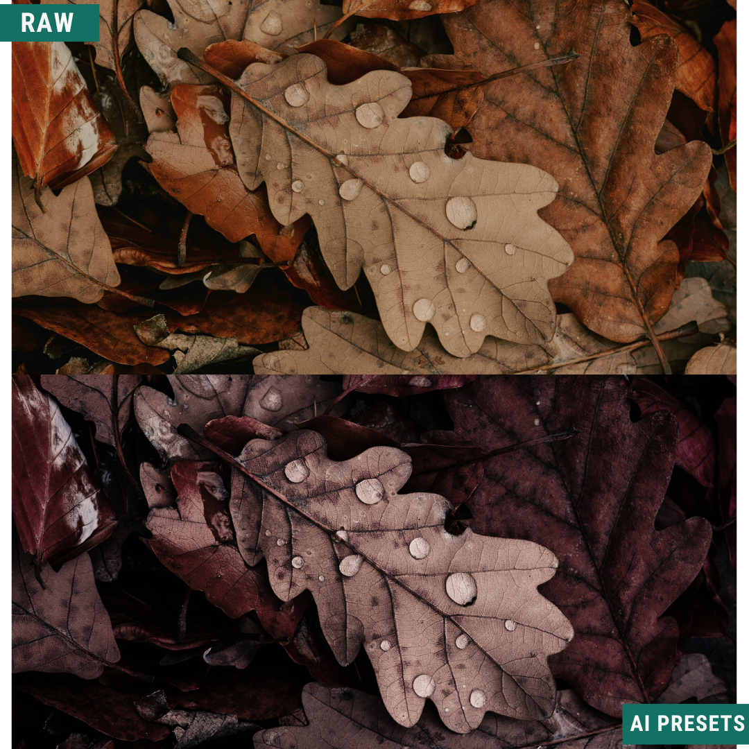 Fall AI Color Lightroom Toolkit